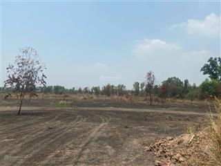 Chuyển nhượng đất xây dựng kho xưởng trong kcn giang điền đồng nai có cắt nhỏ theo nhu cầu