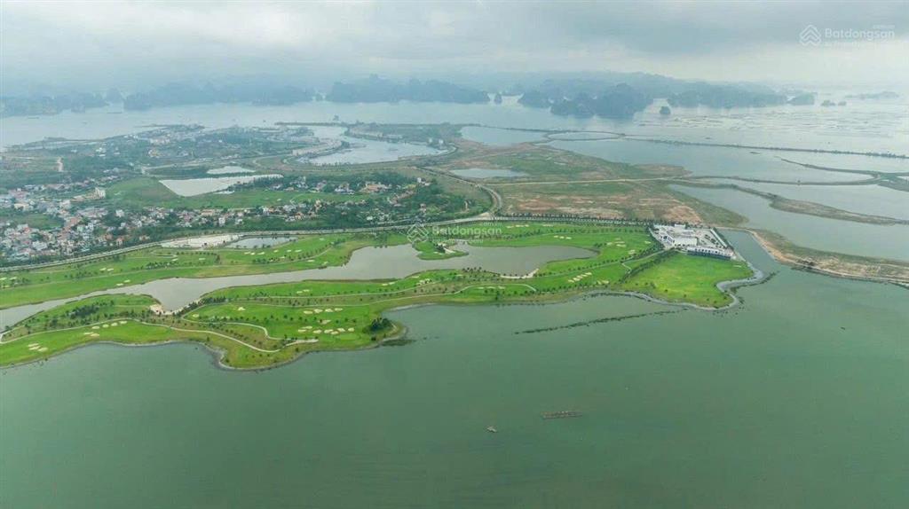 Bán cắt lỗ ô đất biệt thự tự xây 300m2 khu đô thị đảo hoa tuần châu quảng ninh
