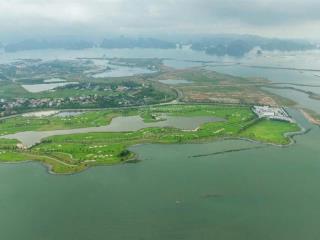 Bán cắt lỗ ô đất biệt thự tự xây 300m2 khu đô thị đảo hoa tuần châu quảng ninh