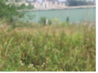 Bán đất phân lô sân bóng trạm trôi hoài đức 115m mt8 chỉ 18 tỷ.