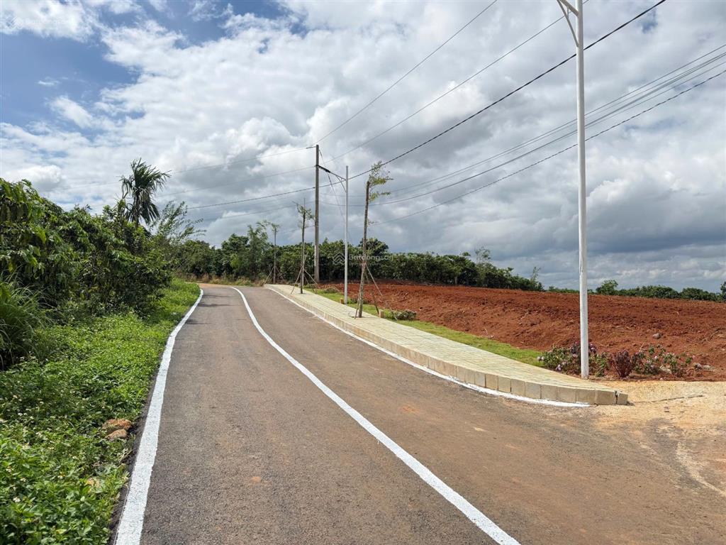 Đất đinh văn lâm hà lâm đồng giá 495 triệu/nền | sẵn thổ cư, đường nhựa 5m sẵn vỉa hè, gần đà lạt