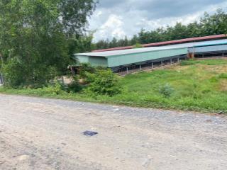 Bán trang trại 2,2ha đất 2mt đường nhựa có 659 m2 thổ cư quy hoạch toàn bộ đất ở khu dân cư đông