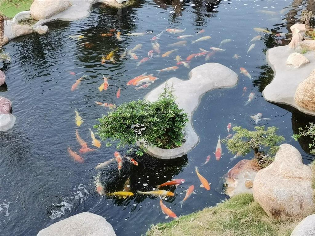 Bán siêu phẩm biệt thự vườn view hồ cực đẹp giá cực tốt khu dân cư đông nơi nghỉ dưỡng lý tưởng