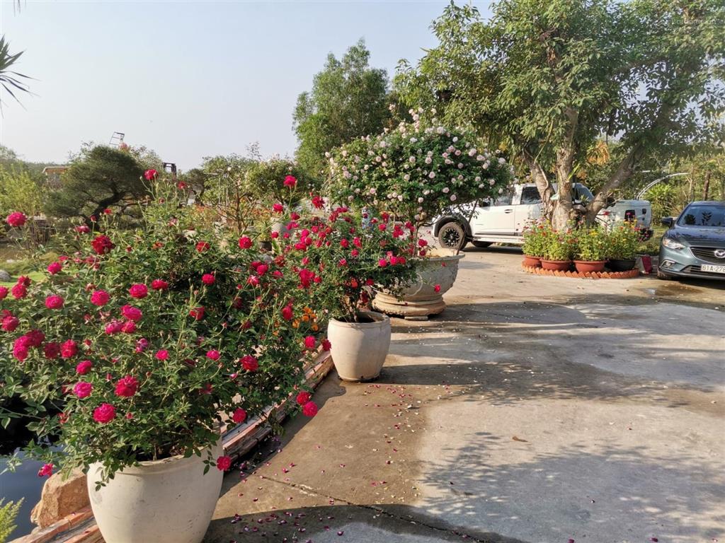Bán siêu phẩm biệt thự vườn view hồ cực đẹp giá cực tốt khu dân cư đông nơi nghỉ dưỡng lý tưởng