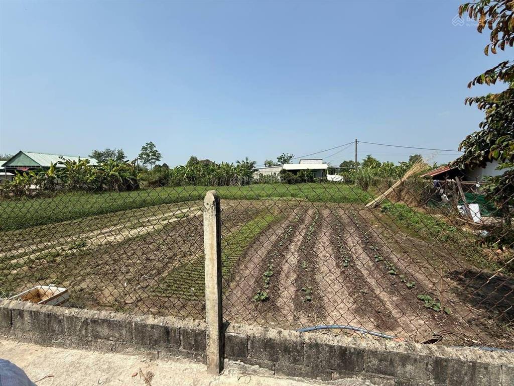 Bán lô đất 2 mặt tiền đường có thổ cư giá cực rẻ gần trường, chợ, ủy ban khu dân cư đông sầm uất