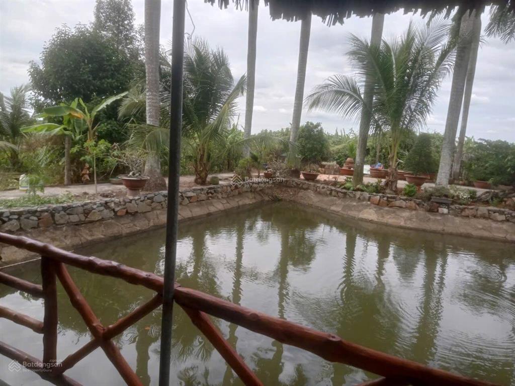 Siêu phẩm nhà vườn view sông sài gòn mát mẻ giá tốt có nhà yến thu 100 tr/tháng khu dân cư đông
