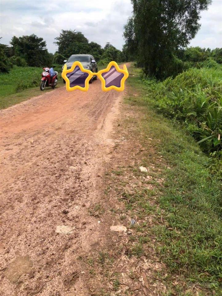Bán lô đất giá rẻ mặt tiền đường sông sài gòn hơn 150 m đất đẹp phù hợp làm khu nghỉ dưỡng