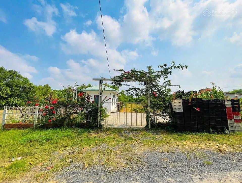 Bán nhà vườn 1036 m2 full thổ cư giá cực rẻ có sẵn nhà cấp 4 khu dân cư đông đường xe tải