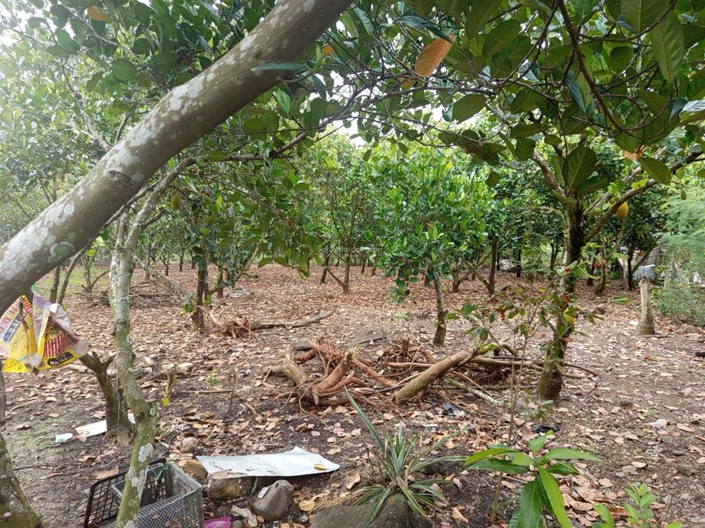 Bán trang trại, khu nghỉ dưỡng tại xã bảo quang, long khánh, đồng nai