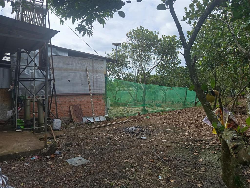 Bán trang trại, khu nghỉ dưỡng tại xã bảo quang, long khánh, đồng nai