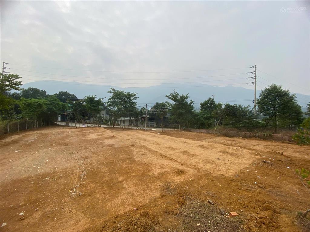 Tích sản 3200m2 mặt đường đt 446 khan hiếm quy hoạch đất ở 100 năm, x5 x10 tài sản trong 10 năm