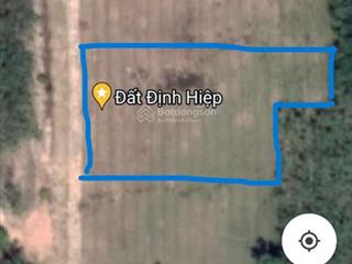Bán đất 3100m2 tại định hiệp, dầu tiếng, bình dương, chỉ với giá siêu hời 2,5 tỷ