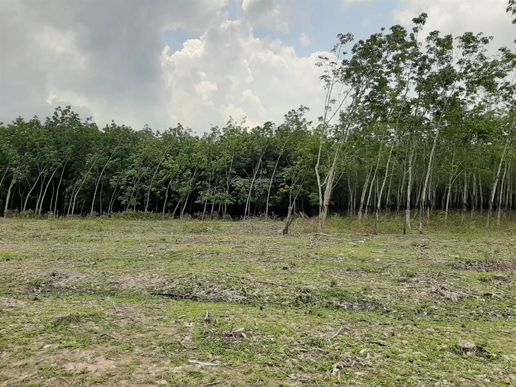 Bán đất 3100m2 tại định hiệp, dầu tiếng, bình dương, chỉ với giá siêu hời 2,5 tỷ