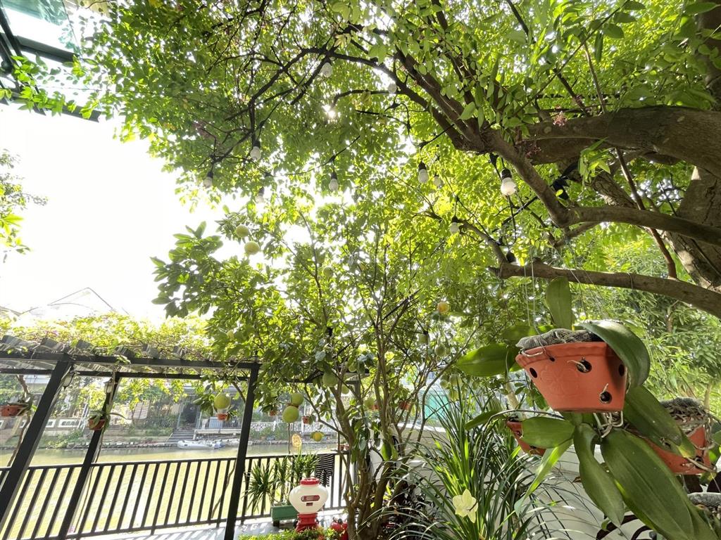Chính chủ bán biệt thự song lập hoa sữa full nội thất vinhomes riverside  0903 257 ***
