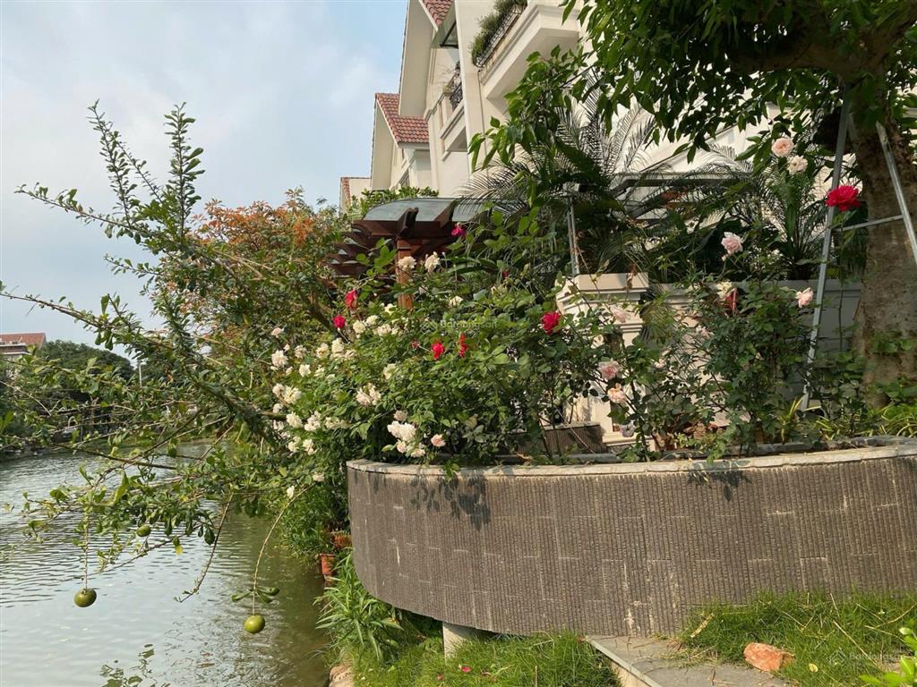Bt đơn lập vinhomes rivrerside, giá tốt thị trường vinhomes riverside chỉ 7x tỷ  090325796