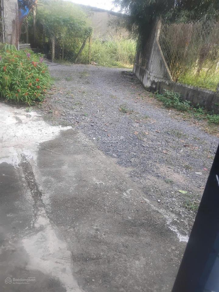 Bán nhà có vườn trái cây 1400m2 thổ 100m tại 1/bùi thị lành,bình mỹ giá ngộp 5,3 tỷ