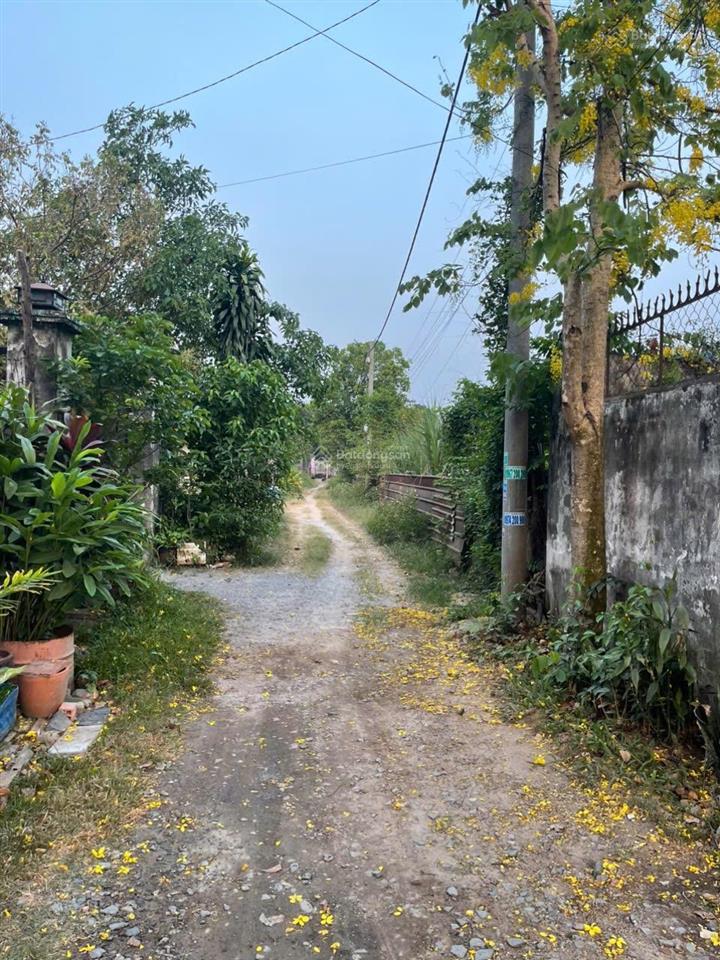 Bán nhà tại 1/du thị hồi, 1,550tỷ, 140m2, view đẹp hàng hiếm,binh mỹ,tphcm