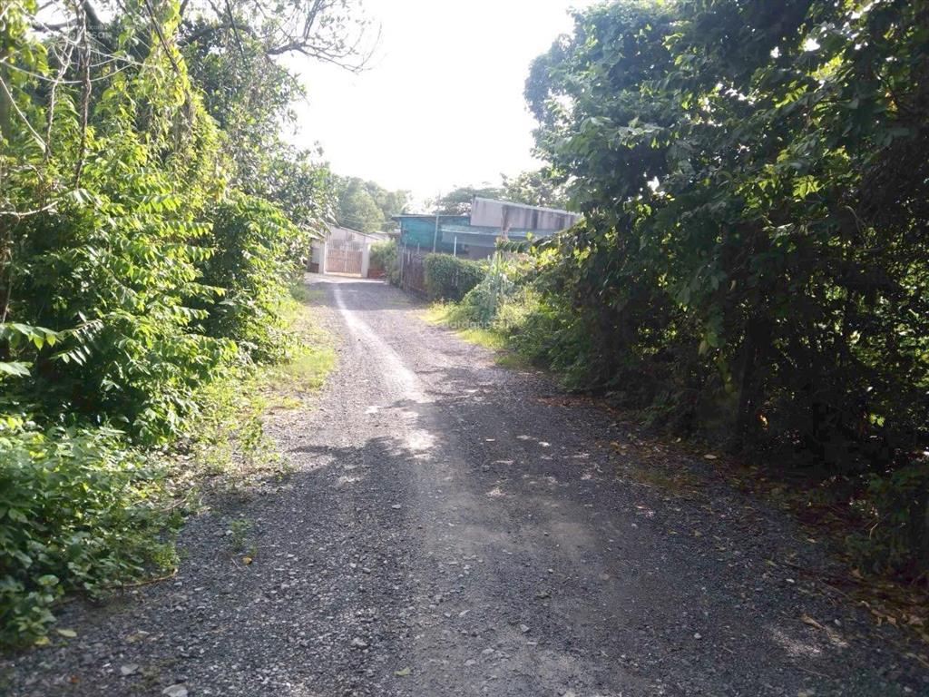 Bán đất 100m2, 1,6 tỷ tại võ thị hết, bình mỹ, huyện củ chi