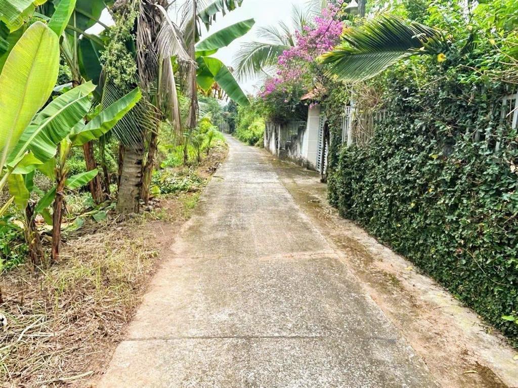 Bán vườn trái cây ,khu nghỉ dưỡng 2000 m2, 6 tỷ tại 1/ sông lu, bình mỹ, huyện củ chi, hcm