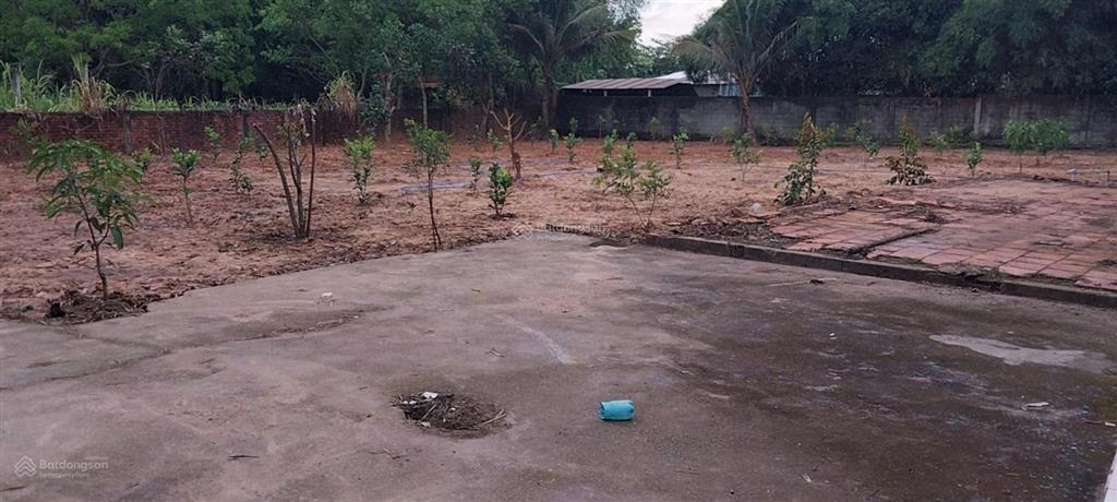 Bán đất tặng nhà cấp 4 (1400m2 ) thổ cư 100m2 tại 1/ bùi thị lành, 5,2 tỷ, củ chi, tp.hcm