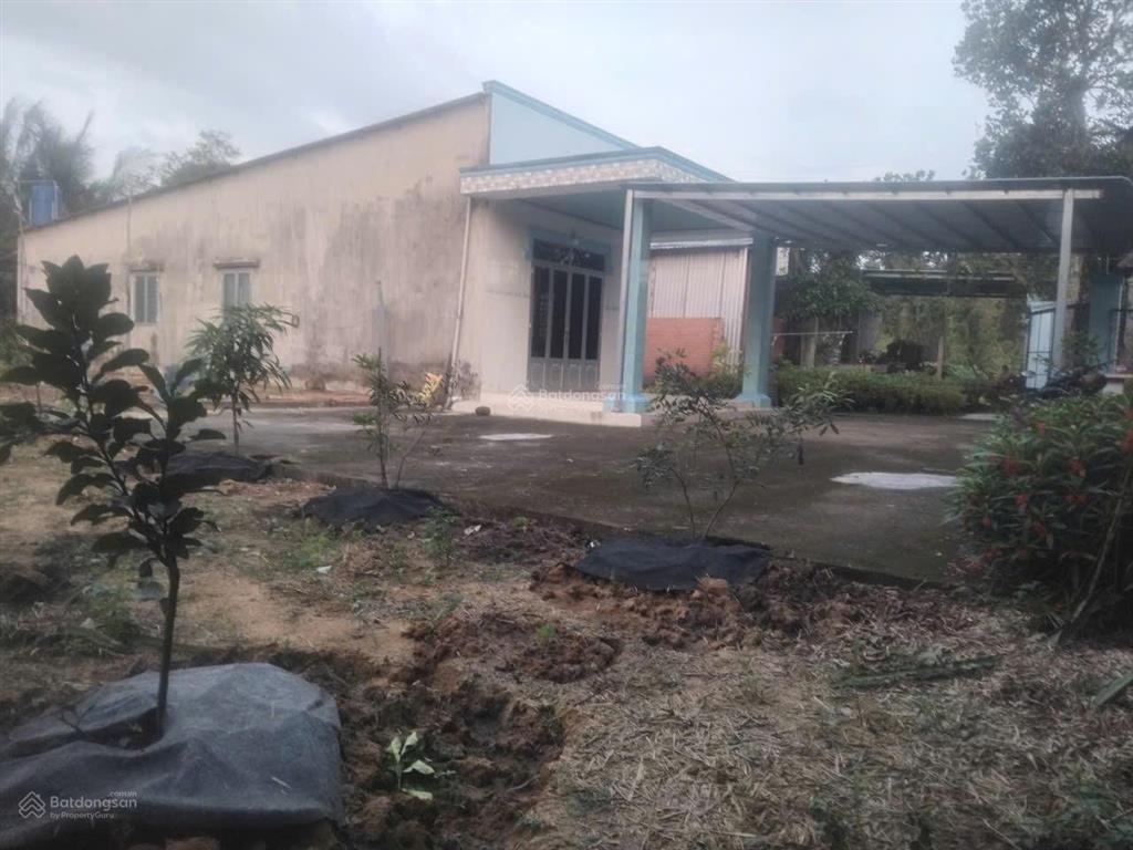 Bán đất tặng nhà cấp 4 (1400m2 ) thổ cư 100m2 tại 1/ bùi thị lành, 5,2 tỷ, củ chi, tp.hcm