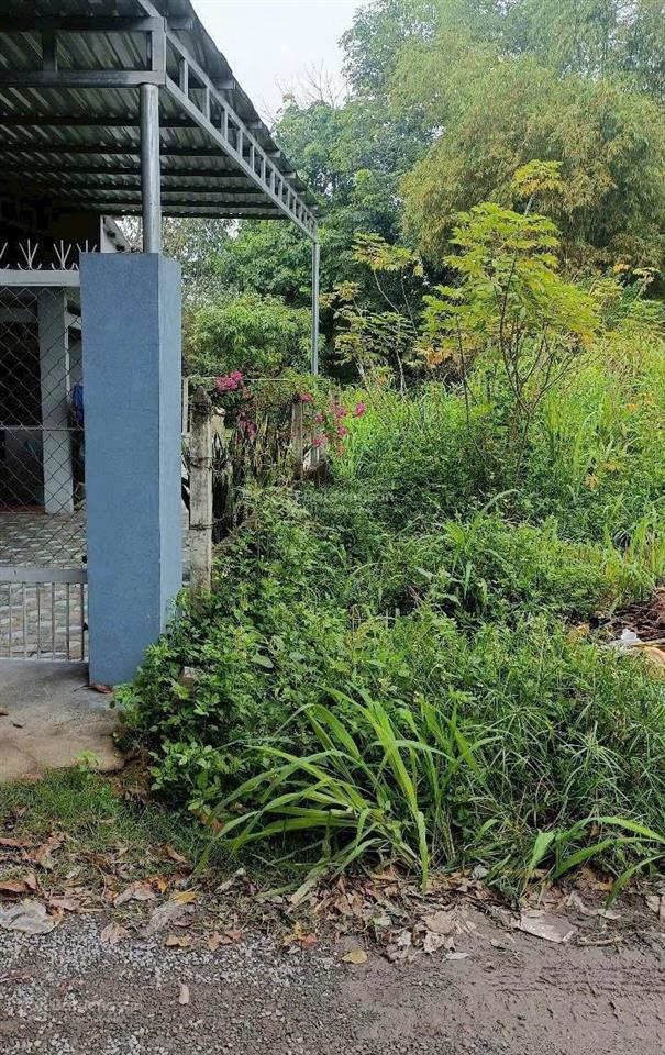 Bán đất tại 1/ lê thị bay, phú hòa đông, củ chi, 2,1 tỷ, 160m (5x32m)đẹp, sát tl15,hiện hữu