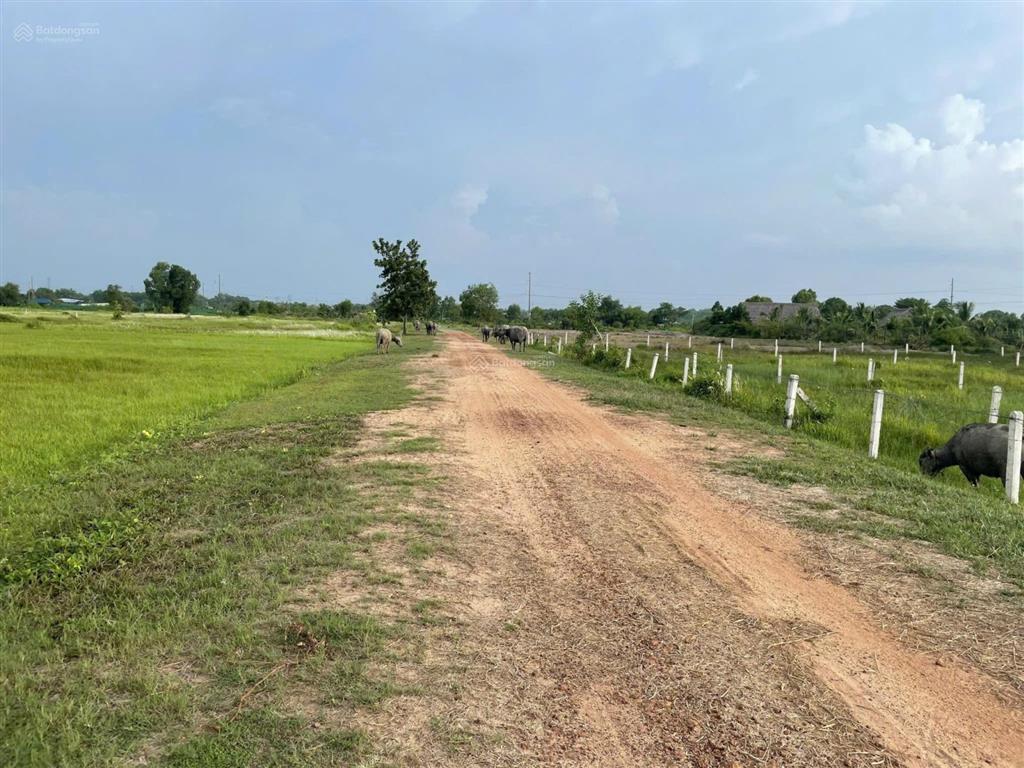 Bán đất ngộp (610m2) tại 1/ nguyễn thị my, củ chi, giá 1,65 tỷ vnd