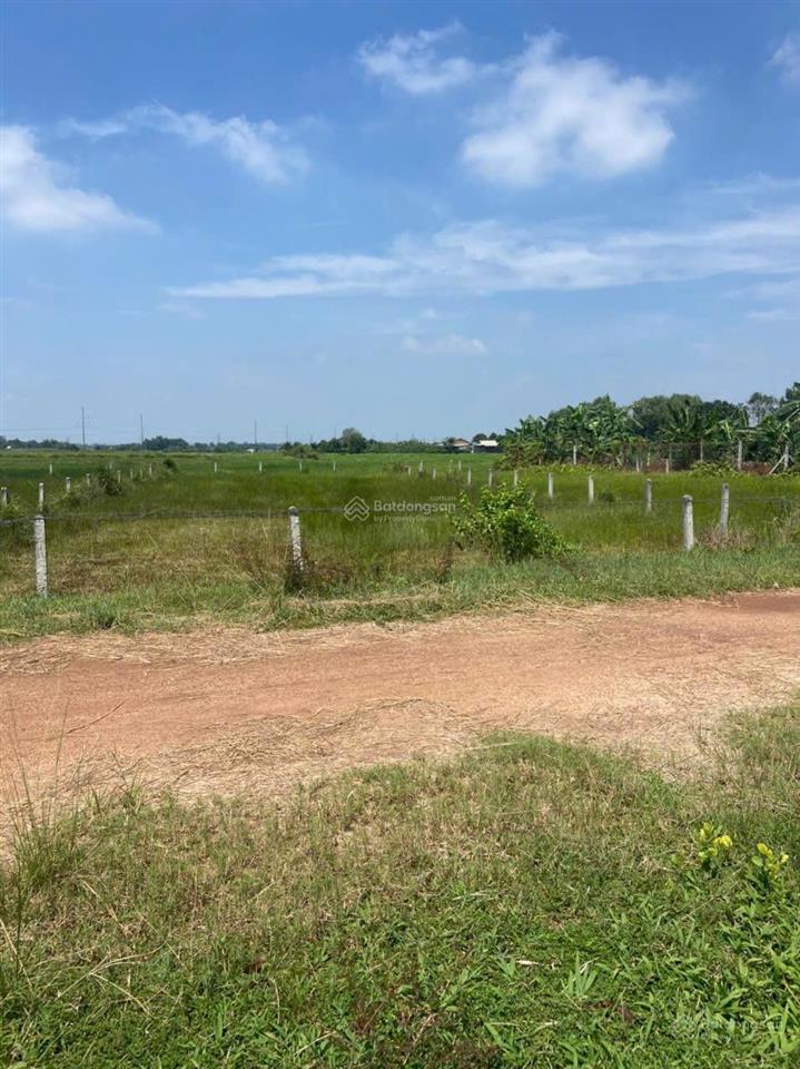 Bán đất ngộp (610m2) tại 1/ nguyễn thị my, củ chi, giá 1,65 tỷ vnd