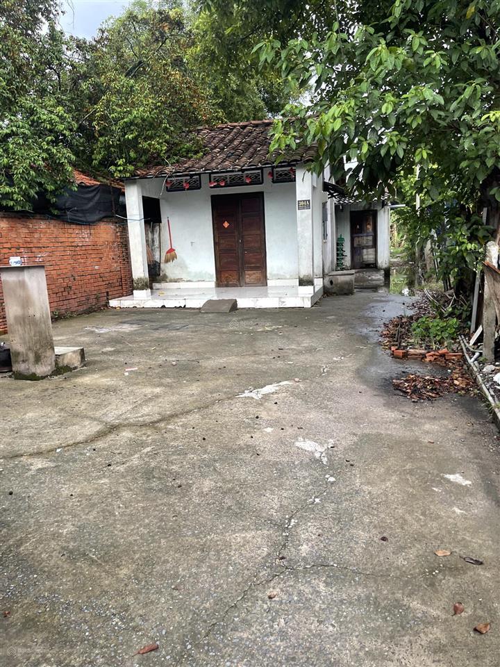 Bán gấp 3 căn nhà mt đường bến than, 3pn, 3wc, 480m2, thổ cư 165m2, bình mỹ, củ chi, 7,5 tỷ