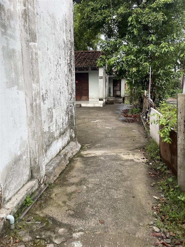 Bán gấp 3 căn nhà mt đường bến than, 3pn, 3wc, 480m2, thổ cư 165m2, bình mỹ, củ chi, 7,5 tỷ