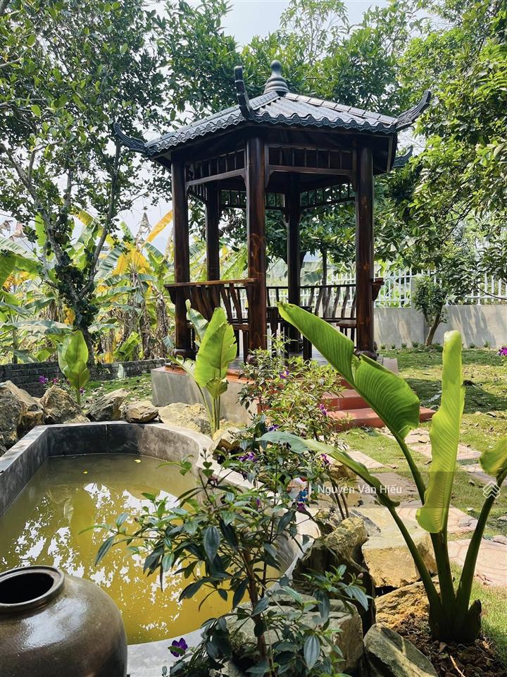 Chính chủ bán đất tặng nhà và khuôn viên 359.1m2 sát vách biệt thự xanh villas 0911 162 ***