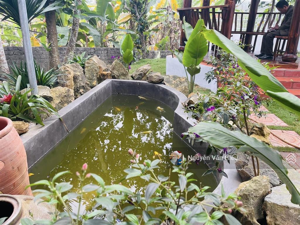 Chính chủ bán đất tặng nhà và khuôn viên 359.1m2 sát vách biệt thự xanh villas 0911 162 ***