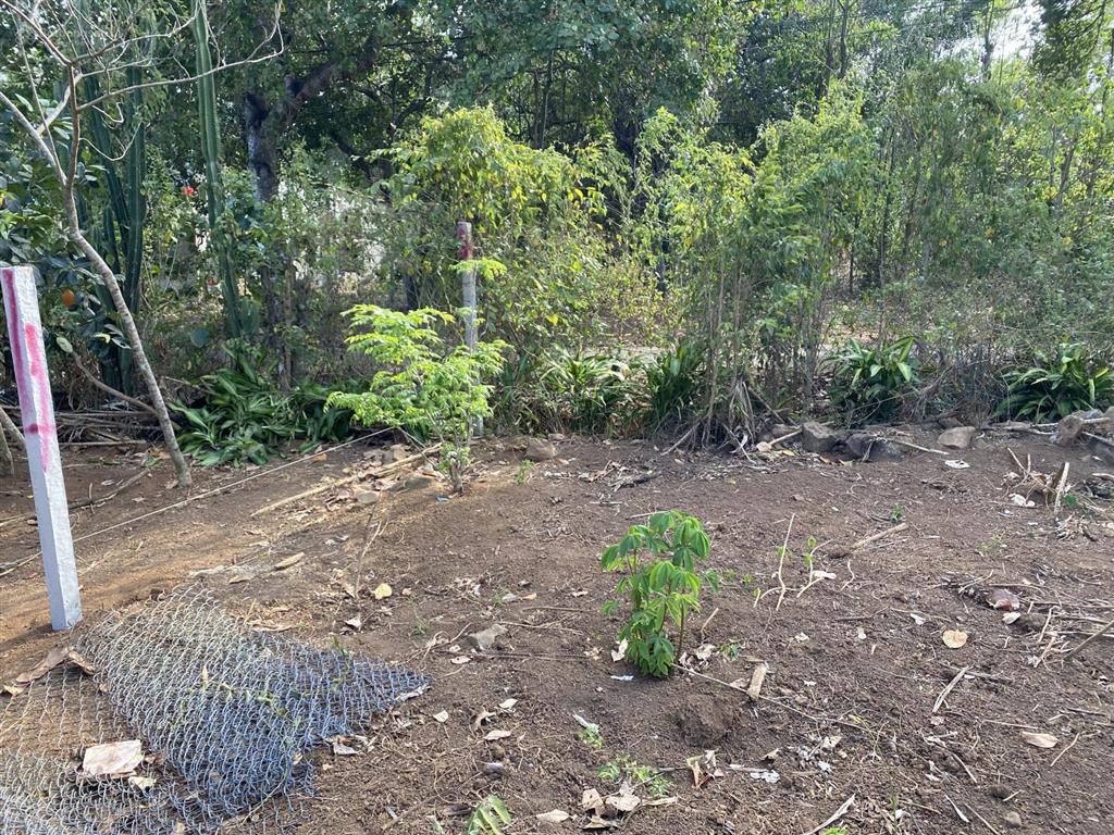 Bán đất vườn diện tích 1000m2, đường nhựa rộng 4m, diện tích mặt tiền 10m