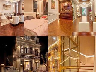 Giảm mạnh 10 tỷ  bán gấp biệt thự đơn lập tại amelie villa phú mỹ hưng, 19,99 tỷ, 238m2