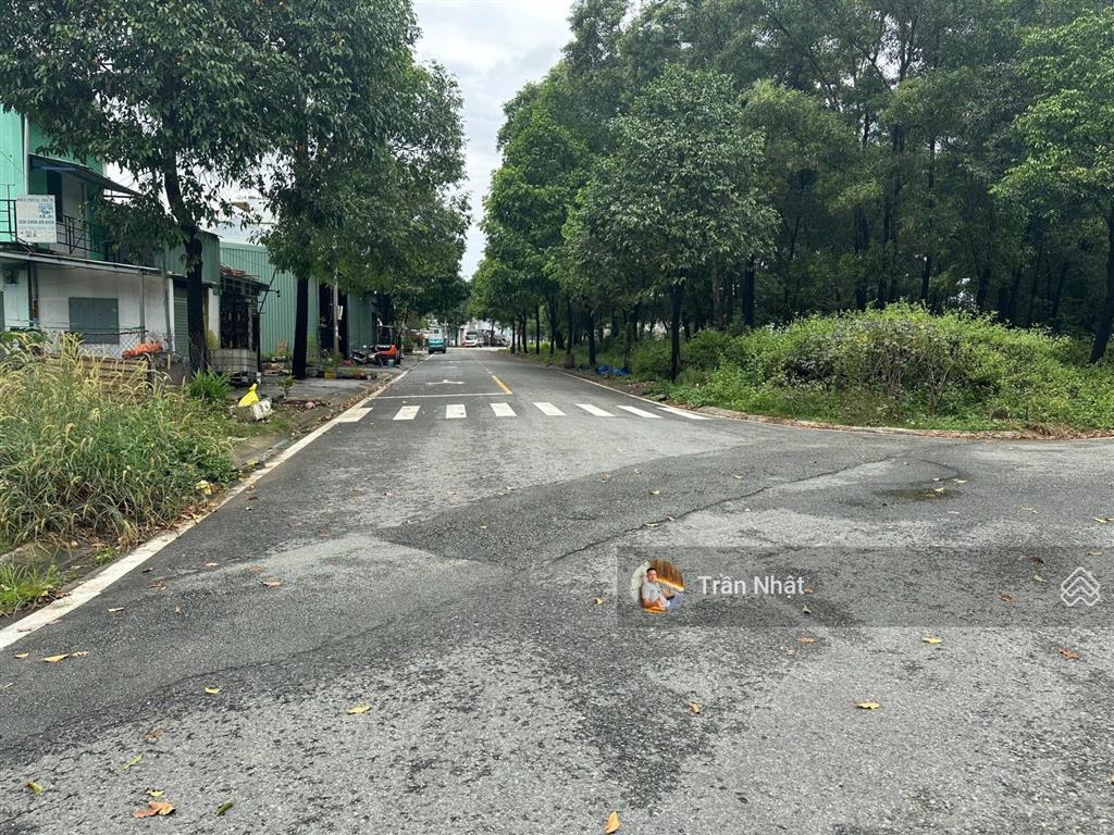 Chính chủ gửi bán gấp lô đất đẹp mặt tiền đường 99, khu tđc phú chánh d, giá tốt