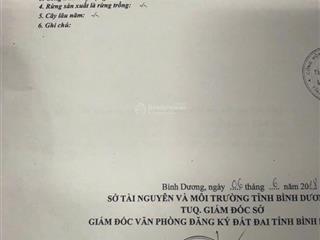 Chính chủ cần bán lô góc 2 mặt tiền đường d12 và n14 khu tđc phú mỹ giá tốt đầu tư