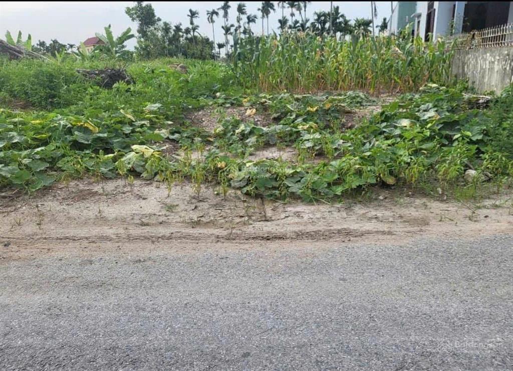 1 lô duy nhất mặt đường 11m hoà nghĩa, dương kinh, hải phòng, gần dự án vinhomes