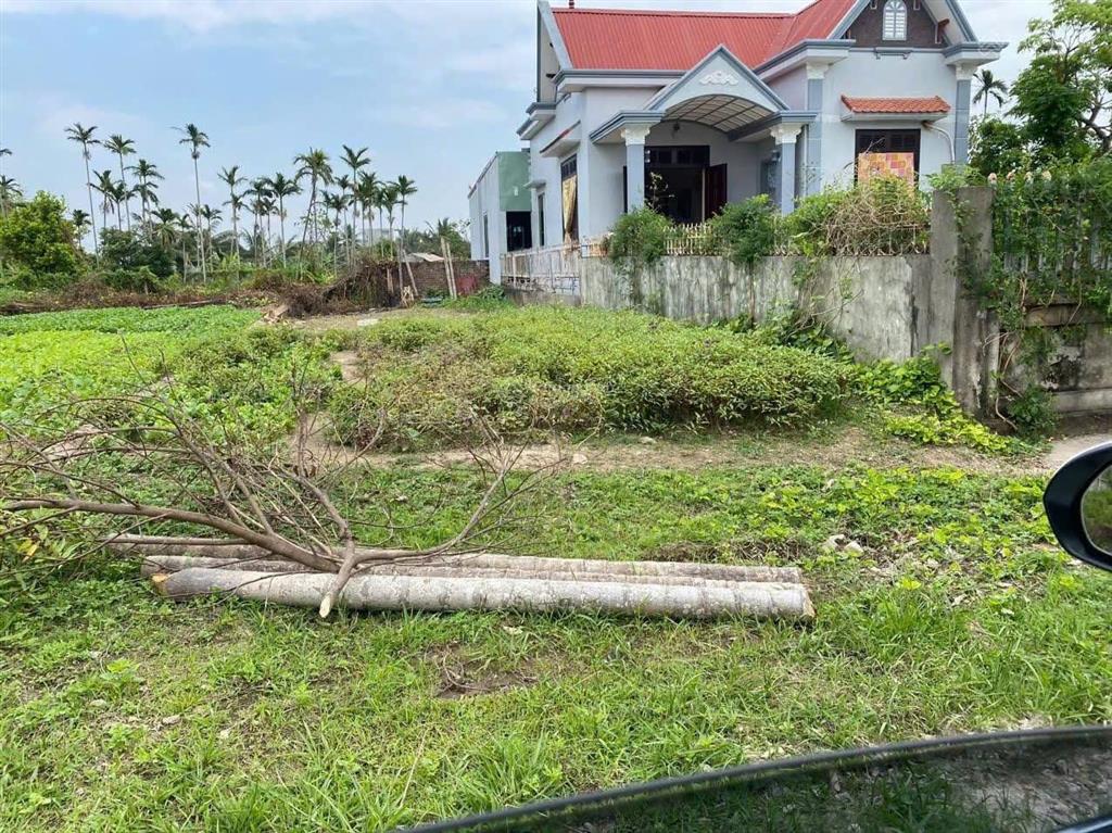 1 lô duy nhất mặt đường 11m hoà nghĩa, dương kinh, hải phòng, gần dự án vinhomes