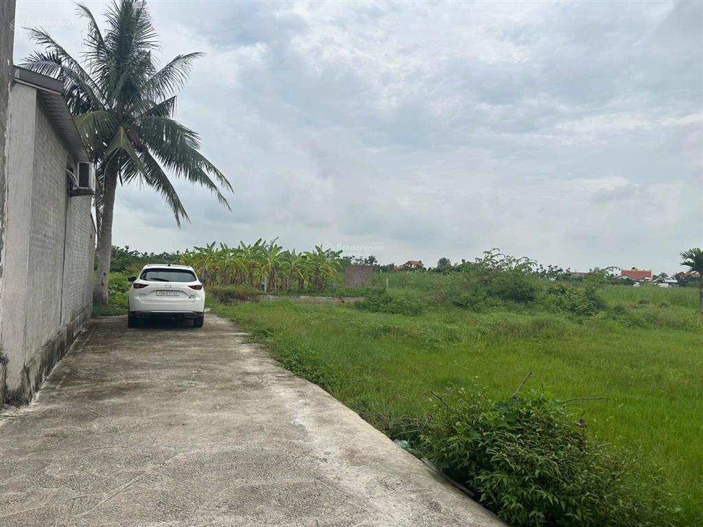 Mảnh đất làm nhà vườn ô tô đỗ tận đất 1166m2 hoà nghĩa, dương kinh, hải phòng