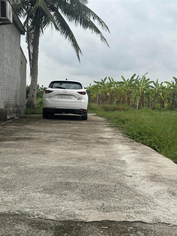 Mảnh đất làm nhà vườn ô tô đỗ tận đất 1166m2 hoà nghĩa, dương kinh, hải phòng