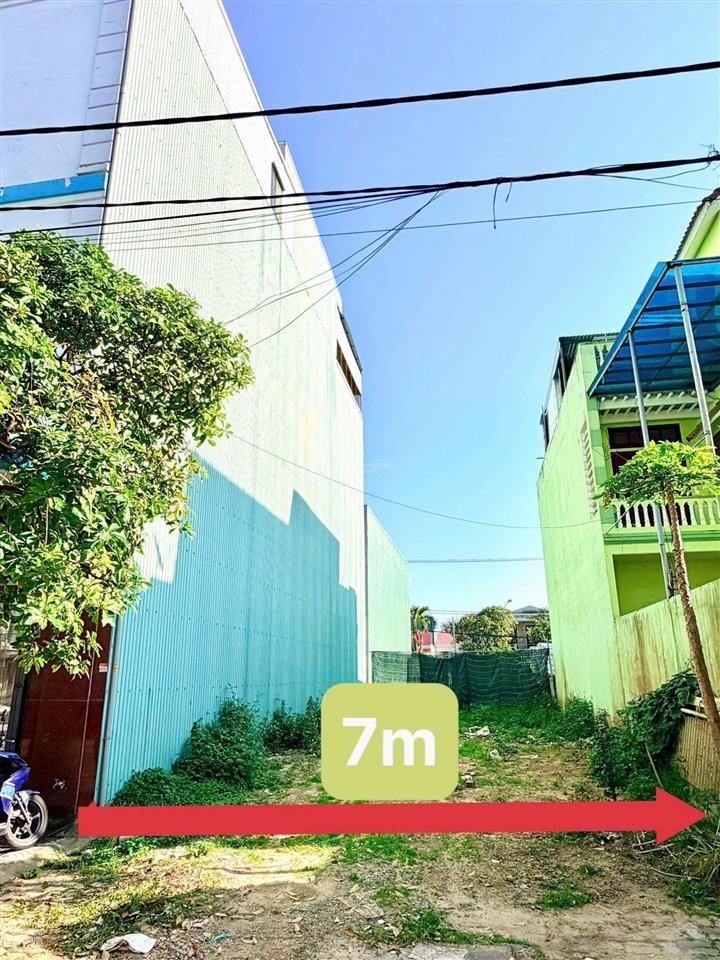 Bán đát hàm trung 4 và 9 gua 35 tr 1 m