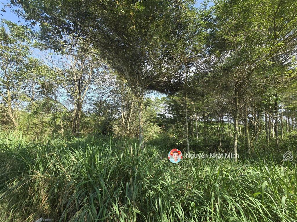 Bán 1000m2 đất cln  phù hợp nhà vườn !