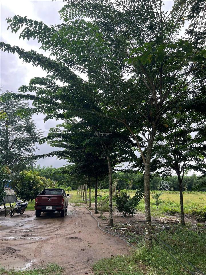 Cần chuyển nhượng quỹ đất 4.7ha sân bay long thành!