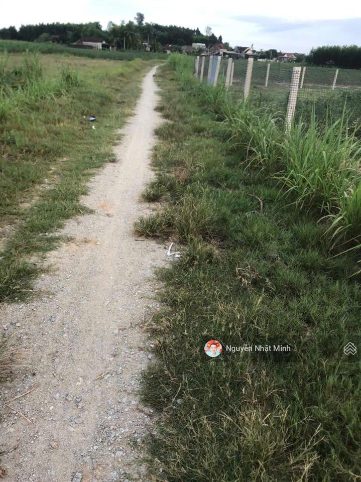 Bán 466m2 đất nông nghiệp  đường xe hơi  nở hậu tại xã sơn tịnh