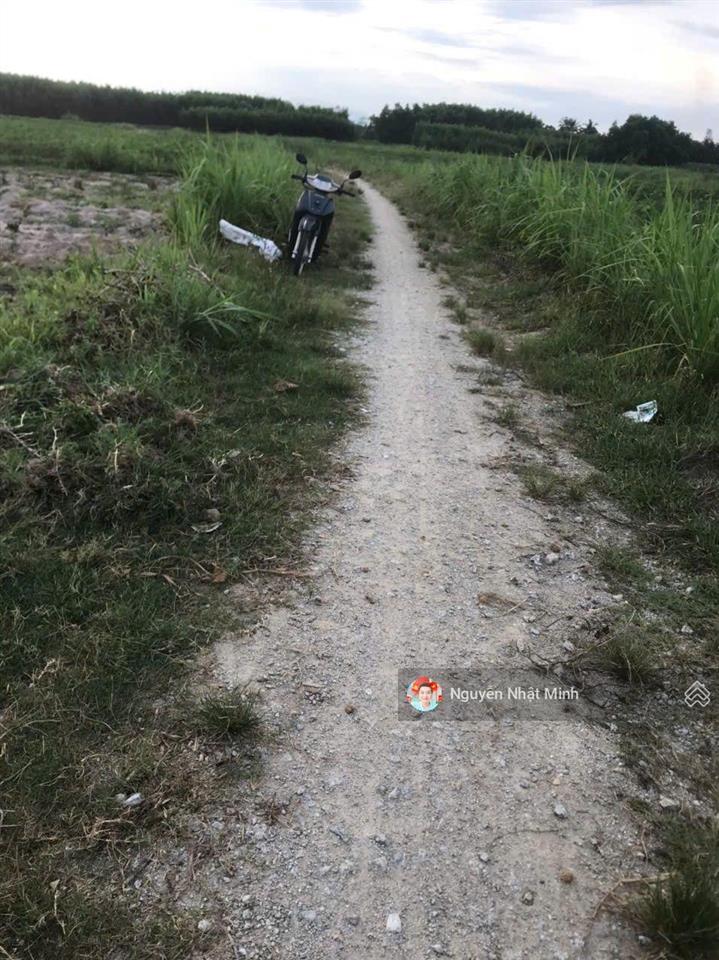 Bán 466m2 đất nông nghiệp  đường xe hơi  nở hậu tại xã sơn tịnh