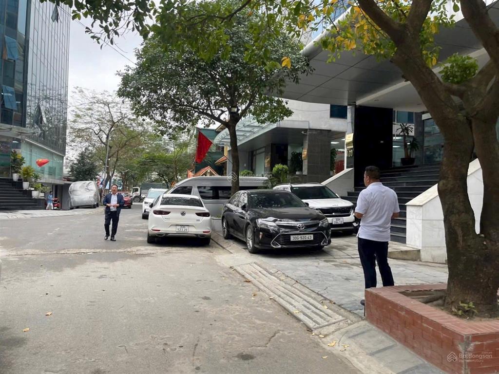 Chủ cần bán gấp giảm 5.5 tỷ còn 33 tỷ 85m2, mt 6m  phố nguyên hoàng