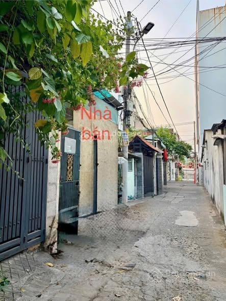 Hẻm xe hơi p14, q8, 3,6 x 20 mét, nhà cấp 4 tiện xd mới 4tỷ950 tl