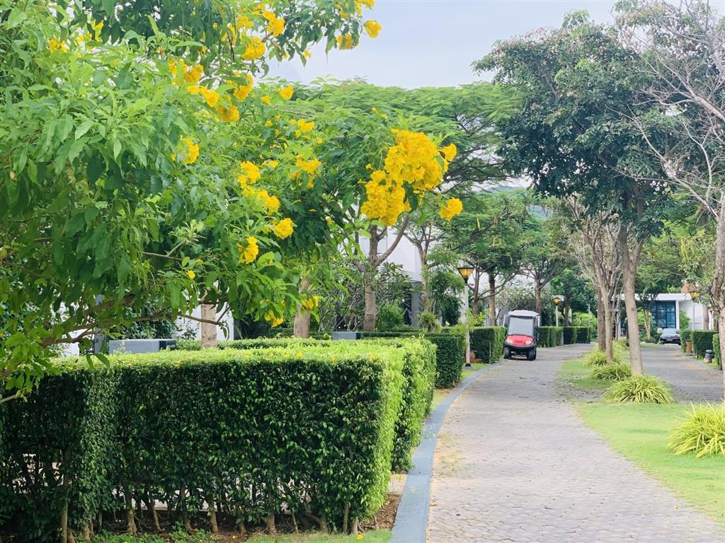 Chính chủ bán biệt thự biển nghỉ dưỡng oceanami luxury homes and resort, long hải, 236m2