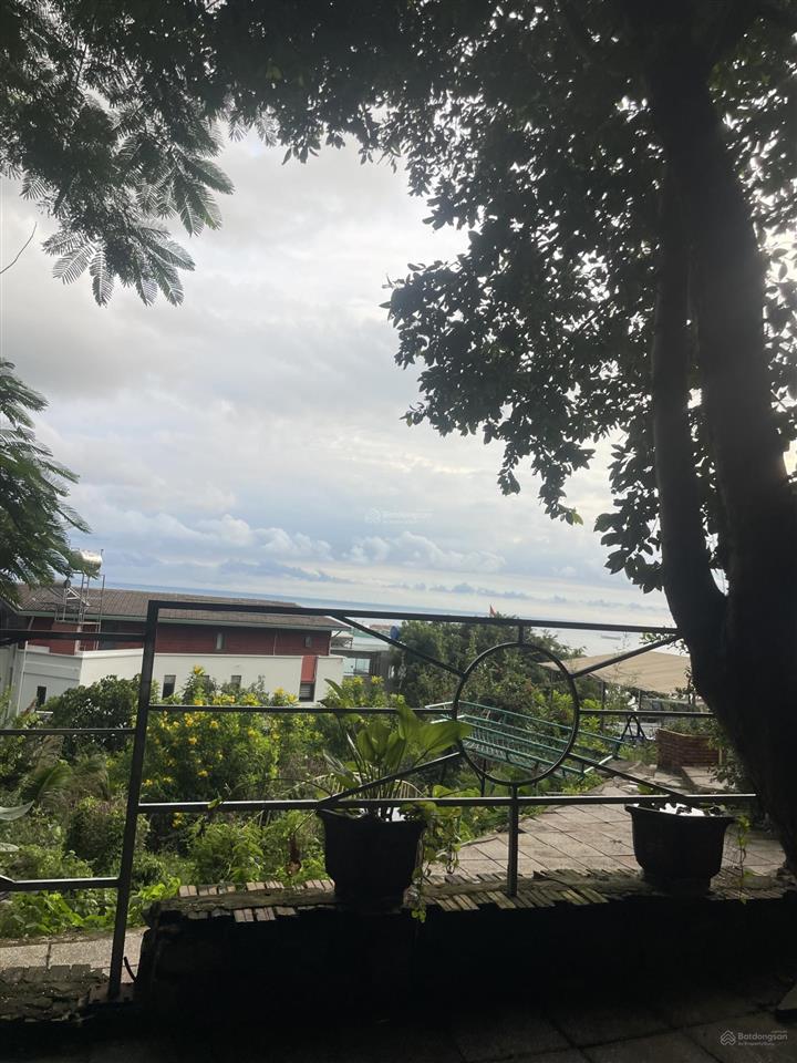 Bán đất hẻm vi ba view biển trực diện vũng tàu giá bán 12 tỷ lô đất đẹp dành cho kh