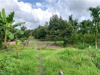 Đất nhà vườn nghỉ dưỡng đường nối nguyễn văn cừ và 61c cầu vàm xáng cạnh khu du lịch mỹ khánh